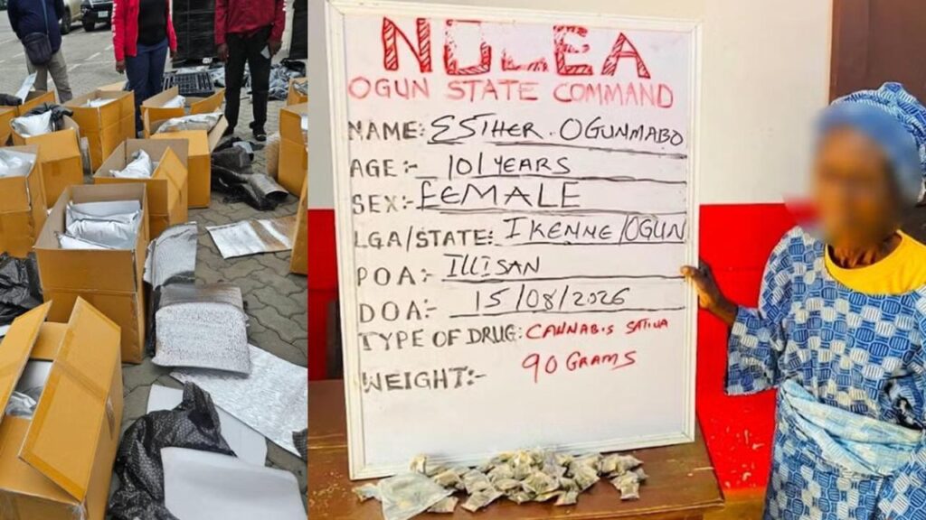 38 Şüpheli Gözaltına Alındı: Alihan Kuriş Örgütü Operasyonu