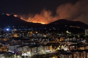 Ankara'da Ağaçlık Alanda