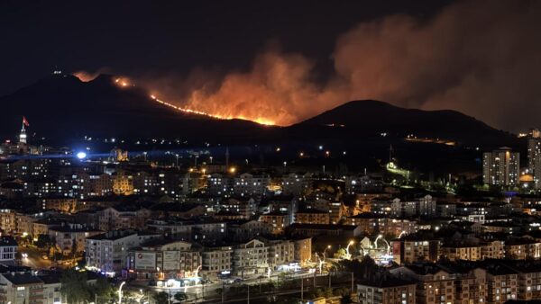 Ankara'da Ağaçlık Alanda