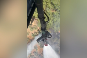 Antalya'da Korkutan Orman