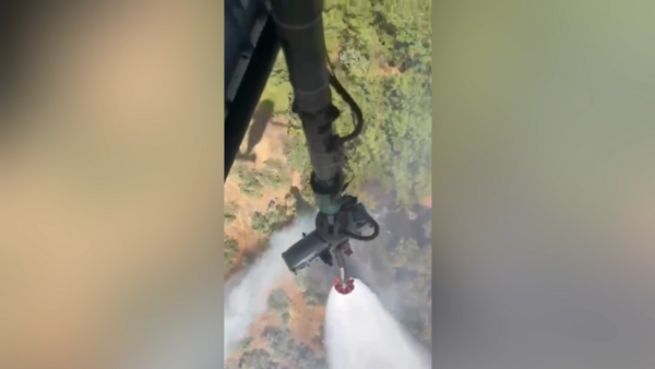 Antalya'da Korkutan Orman