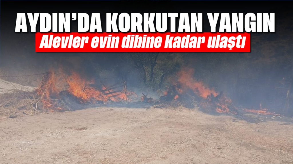 Aydın Karpuzlu'da korkutan yangın: Alevler evin dibine ulaştı
