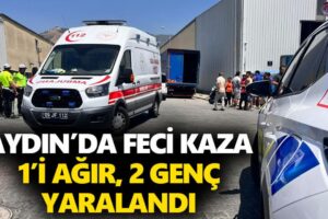 Efeler'de Yeşil Alan