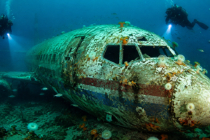 Boeing 737 Uçağı Denizin Dibinde Yapay Resife Dönüştü - Fotoğraf 2