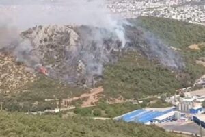 Bursa'da Korkutan Orman Yangını: 3 Noktada Alevler Yükseldi - Fotoğraf 2