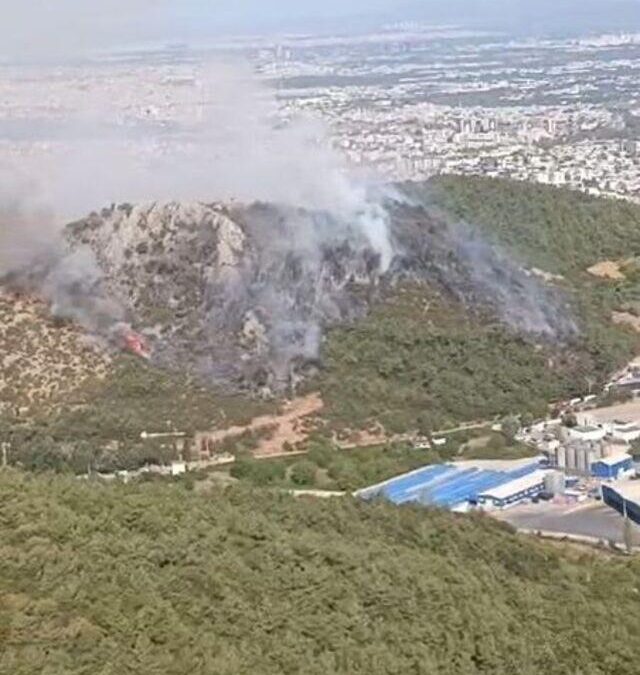 Bursa'da Korkutan Orman Yangını: 3 Noktada Alevler Yükseldi - Fotoğraf 2