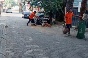 Efeler'de Temizlik Mesaisi