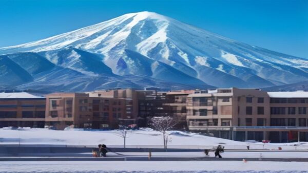 Kayseri Arama Trendlerinde