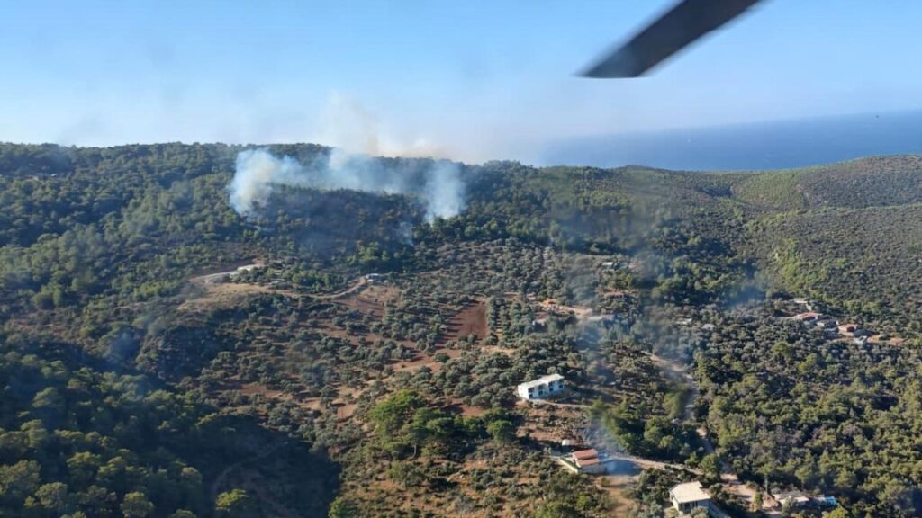 Muğla'da Başlayan Orman Yangını Antalya'ya Sıçradı