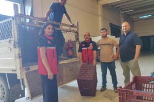 Nazilli'de İncir Üreticilerine