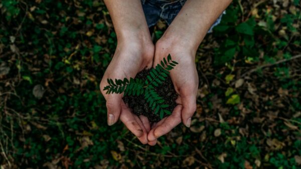 Aydın’da Vali Varol’un Başkanlığında Kritik Afet Toplantısı Gerçekleşti