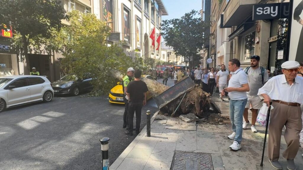 Şişli'de Ağaç İki Aracın Üzerine Devrildi: Felaket Teğet Geçti