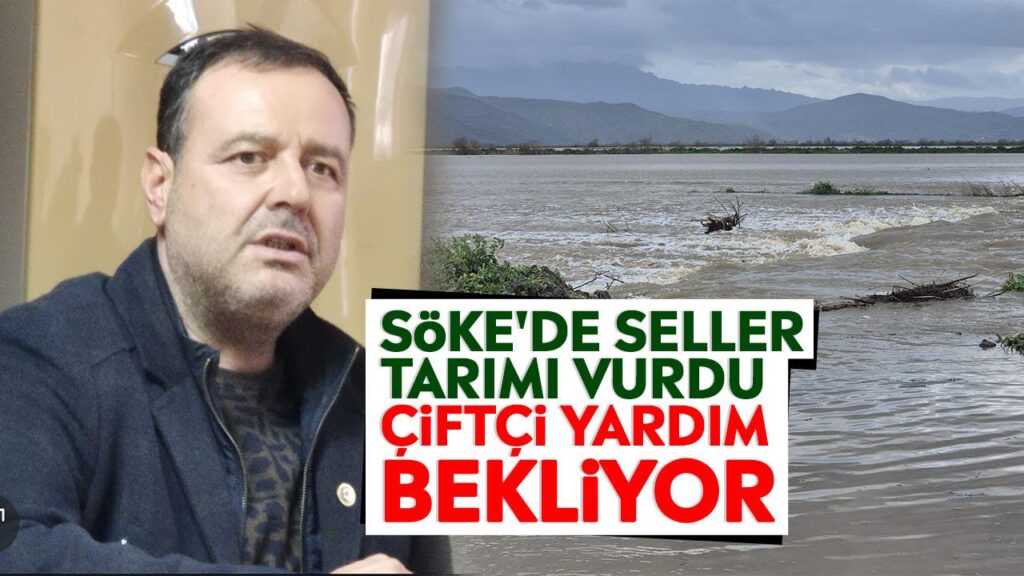 Söke Ovası'nda Sel Dehşeti: Çiftçi Afet Bölgesi İlanı Bekliyor