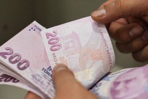 TMO Hububat Üreticilerine