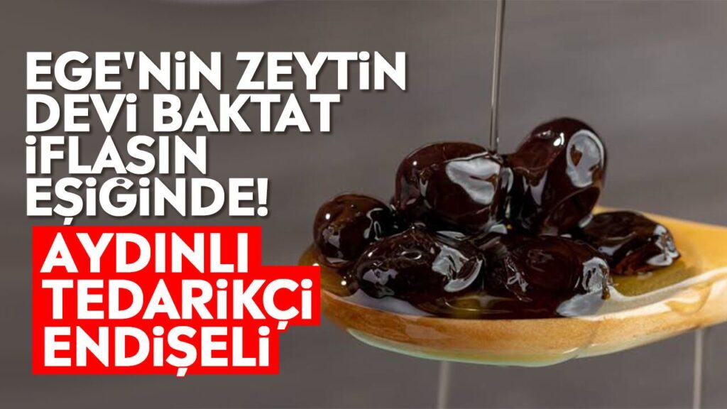 Zeytin Devi Baktat Konkordato Aldı: Aydınlı Üretici Tedirgin