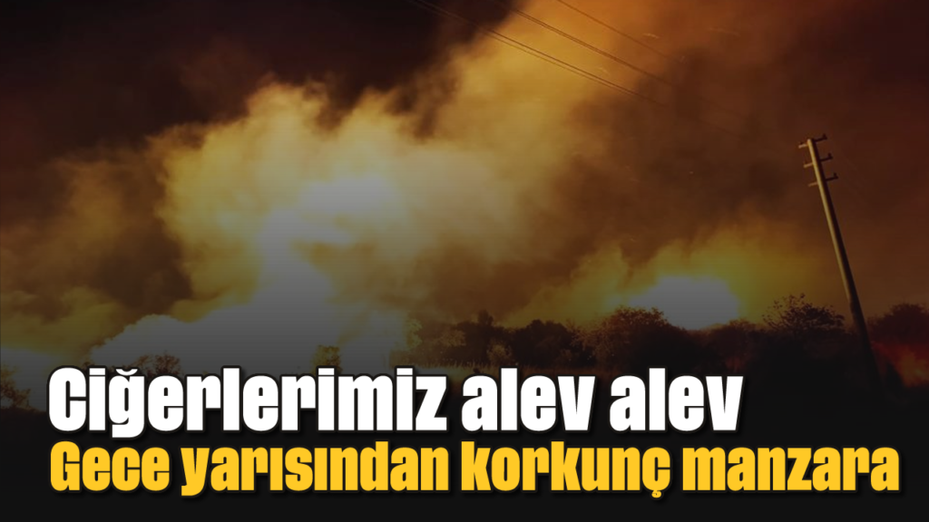 Aliağa’da Gece Yarısı Yangını: 4 Saatte Kontrol Altına Alındı