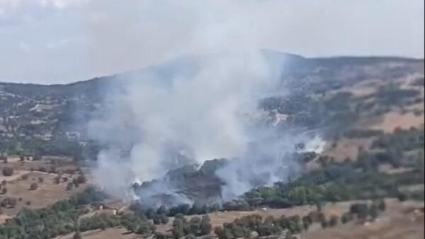 Antalya Kızıllı'da Orman
