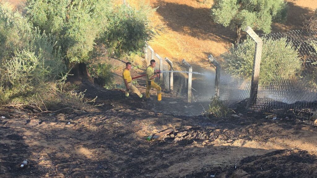 Aydın Efeler Savrandere Mahallesi'nde çıkan yangın ekipleri seferber etti