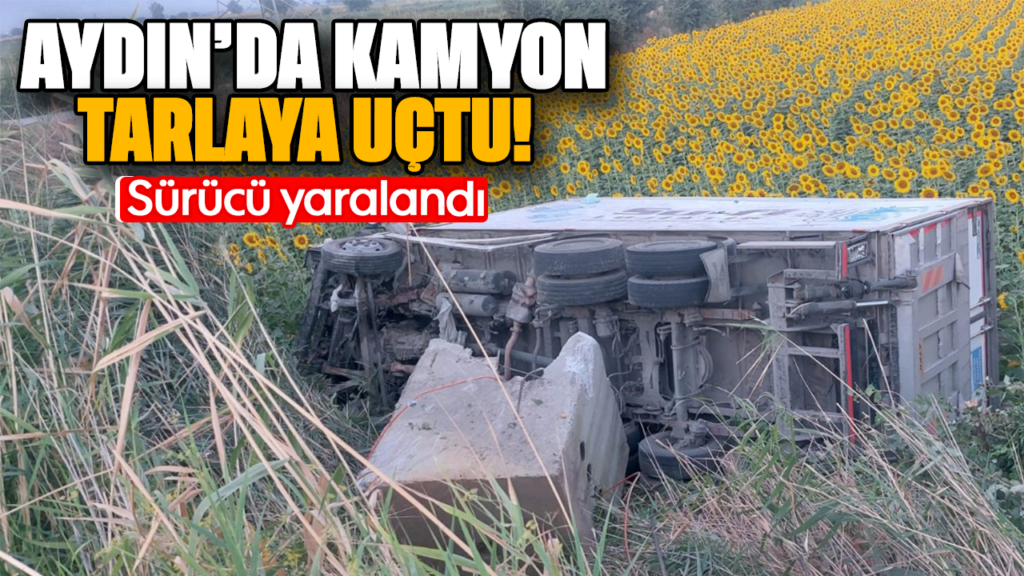 Aydın Efeler'de Kamyon Tarlaya Uçtu: Sürücü Yaralandı