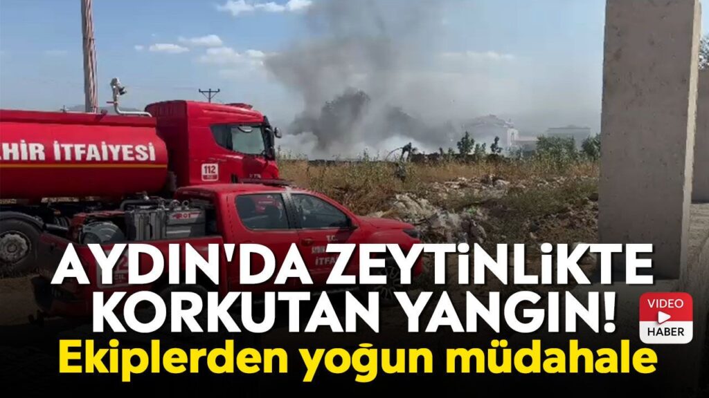 Aydın Zeybek Mahallesi'nde çıkan yangın otobana sıçradı, havadan müdahale edildi