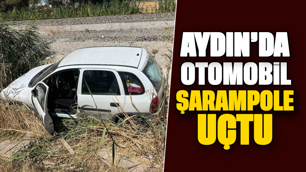 Aydın'da 09 Plakalı Otomobil Şarampole Uçtu, Sürücü Kurtuldu