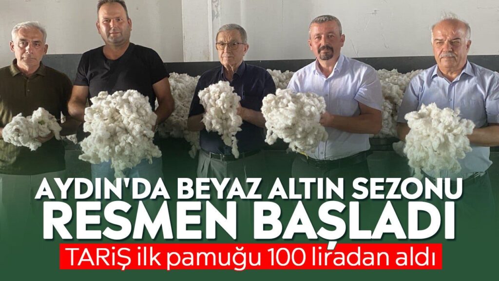 Aydın’da Beyaz Altın Sezonu Başladı: İlk Pamuk 100 Liradan Alındı