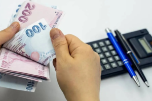 Aydın'da Dijital Okura