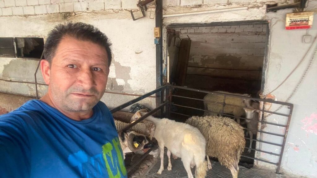 Aydın'da Hayvan Pazarları Kapatıldı: Şap Hastalığına Karşı Yeni Düzen