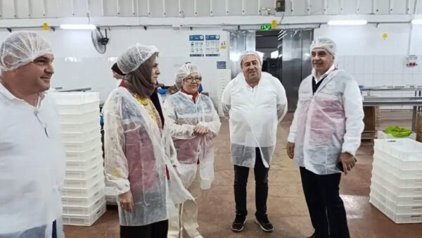 Aydın’da İncir Üretiminde