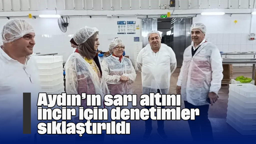 Aydın’da İncir Üretiminde Denetimler Sıklaştırıldı: Gıda Güvenliği Ön Planda