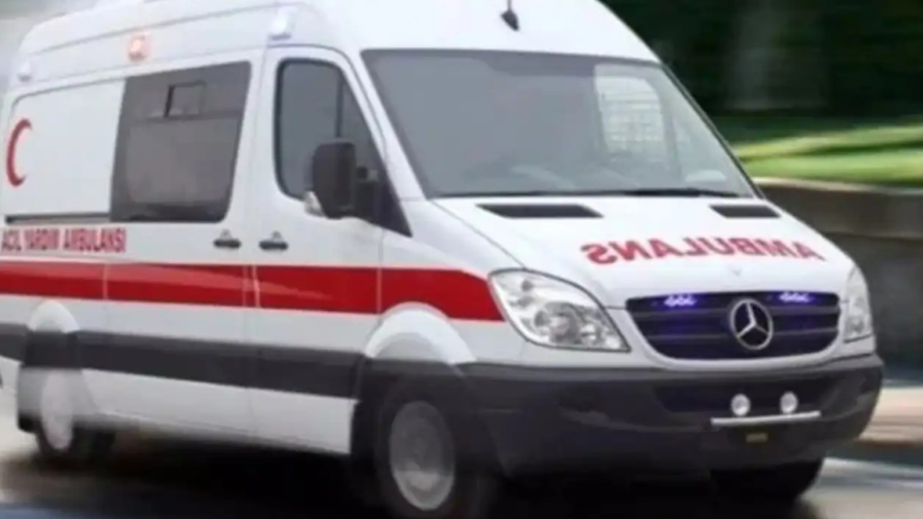 Aydın'da Orman ve Zirai Alanda Yangın Çıktı