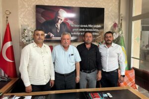 Aydın’da Pamuk, Ayçiçeği