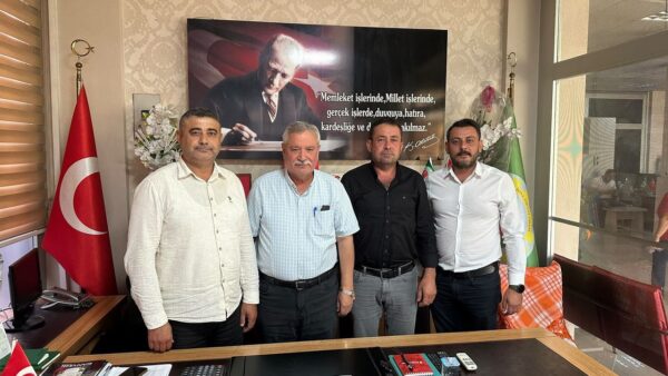 Aydın’da Pamuk, Ayçiçeği