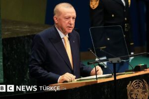 Başkan Erdoğan, Google