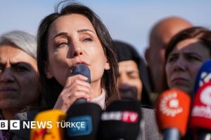 DEM Parti 6