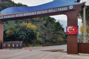 Dilek Yarımadası'nda Rekor