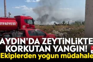 Düzce'de Ahşap Fabrikasında