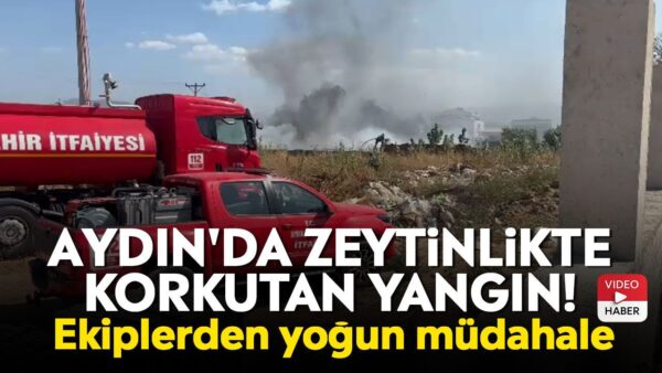 Düzce'de Ahşap Fabrikasında