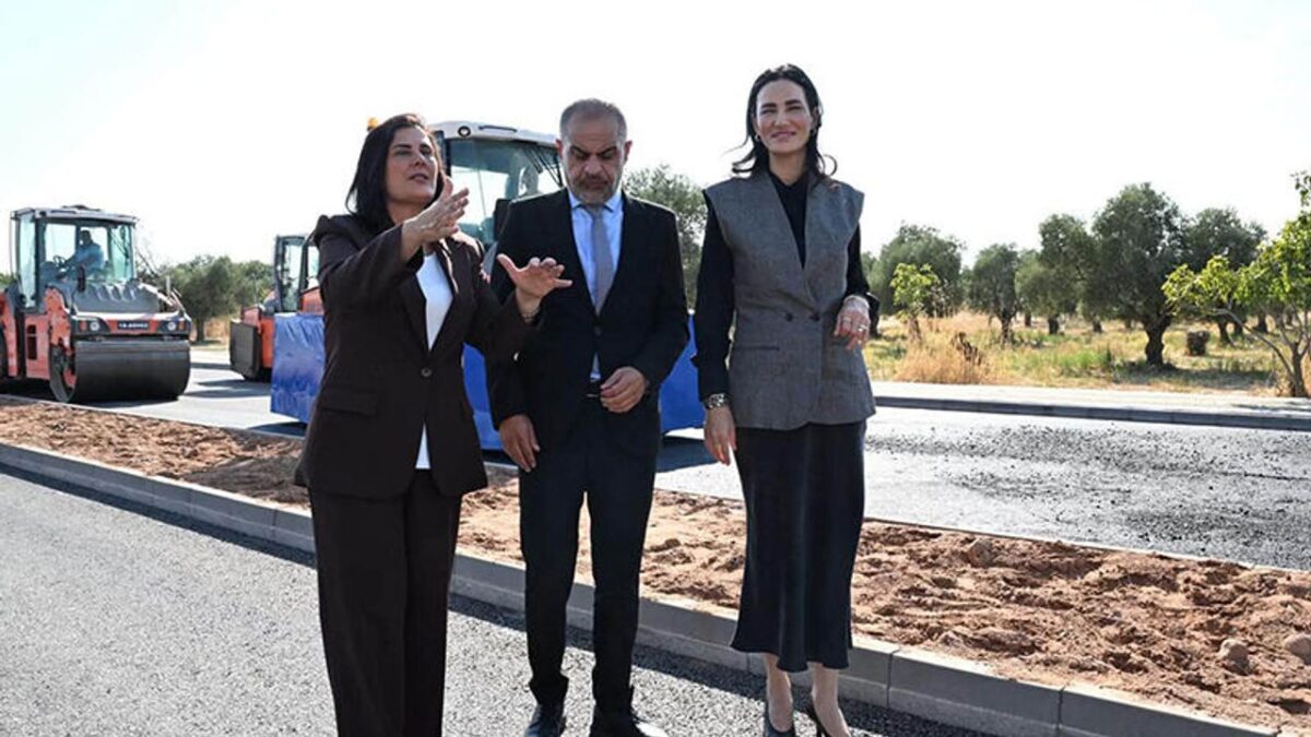 Efeler'de Zeytin Dalı