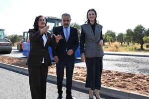 Efeler'de Zeytin Dalı