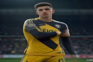 Fenerbahçe, Premier League