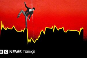 Fon Soruşturması: 46