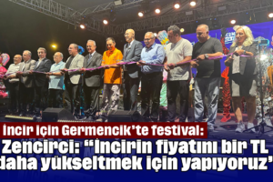 Germencik 22. İncir