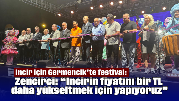 Germencik 22. İncir