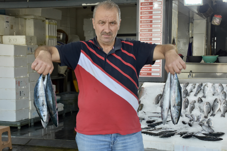 Karadeniz'de Palamut Bolluğu: Tezgahlar Balıkla Doldu