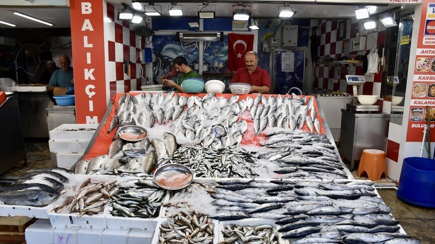 Karadeniz'de Palamut Bolluğu: