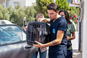 Kuşadası’nda Kedi Kısırlaştırma