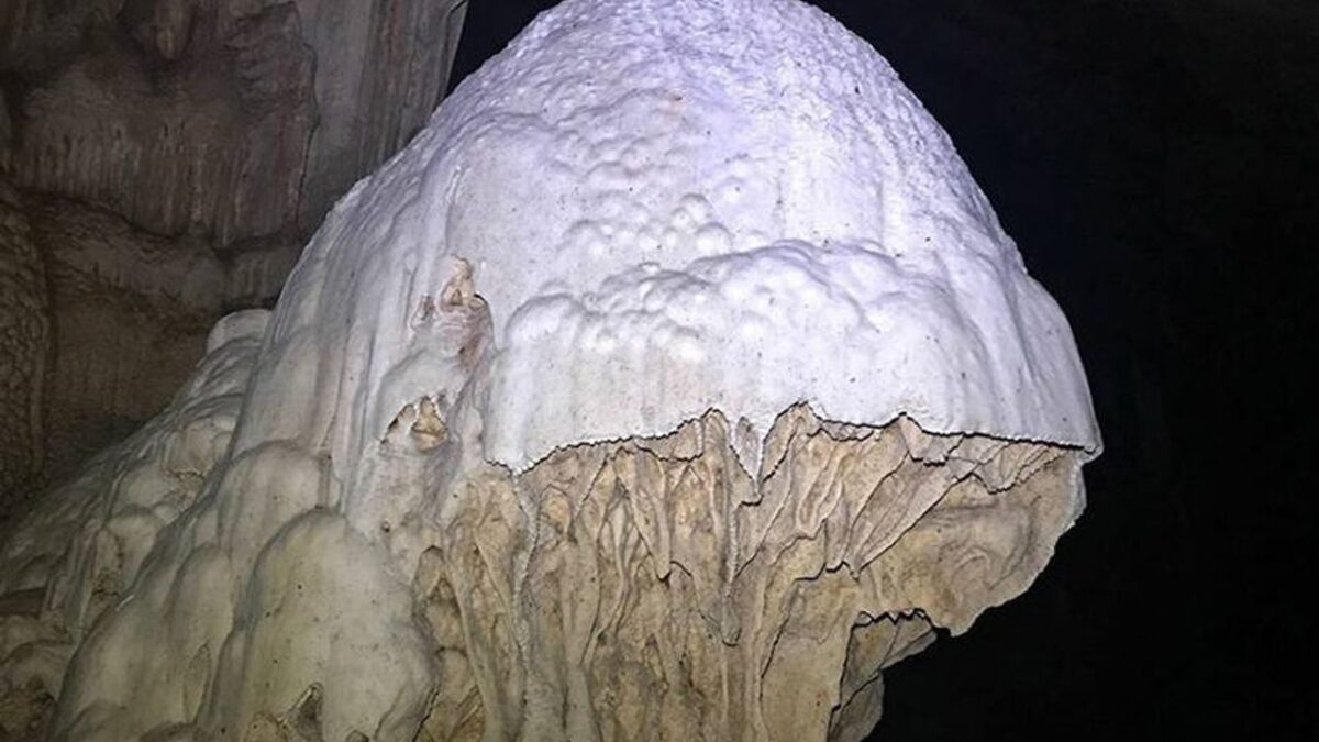Kuşadası’nın Gizli Hazinesi