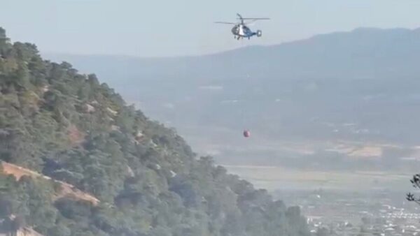 Kuyucak’ta Zeytinlik Yangını