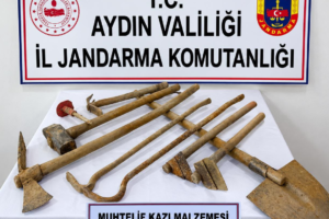 Nazilli’de Çilek Bahçesinde